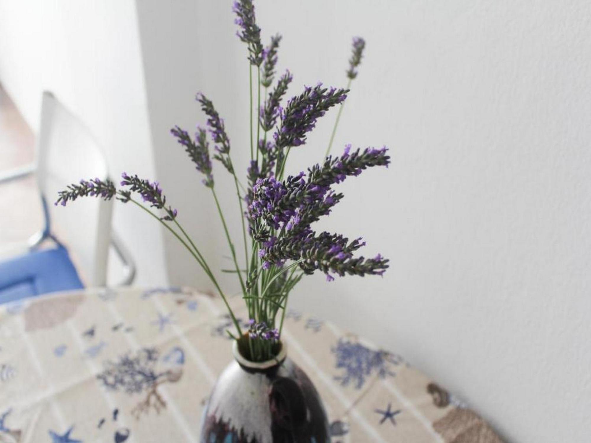 Apartmani Lucia Biograd Biograd Na Moru Bilik gambar